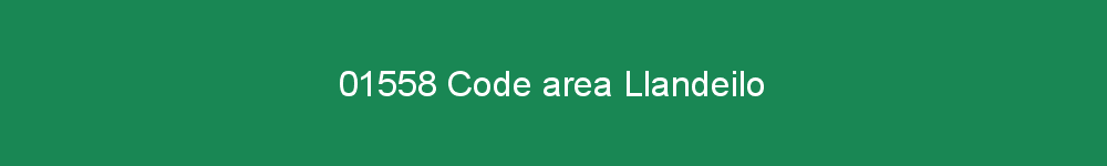01558 area code Llandeilo