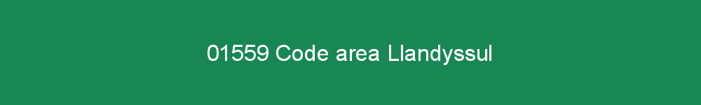 01559 area code Llandyssul