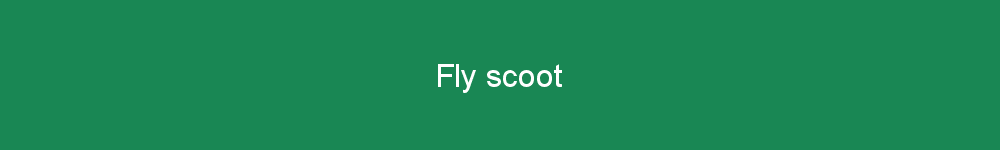 Fly scoot