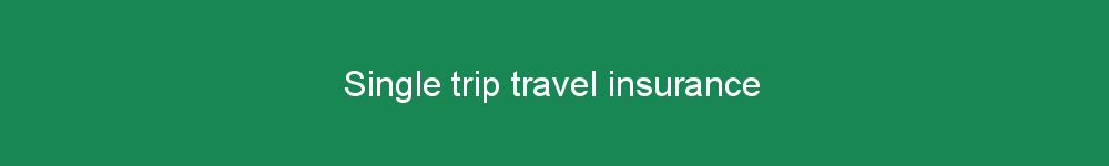 Single trip travel insurance
