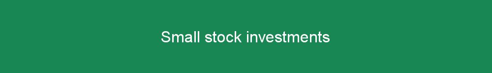 Small stock investments