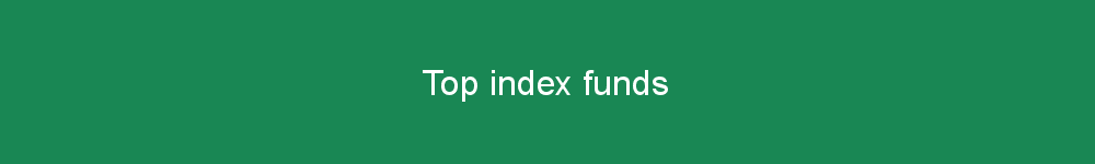 Top index funds
