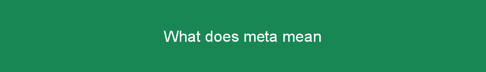 What does meta mean