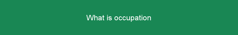 What is occupation