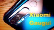 Xiaomi Gauguin