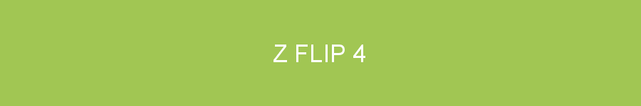 Z Flip 4
