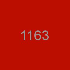 1163