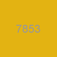 7853