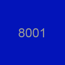 8001