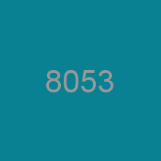 8053