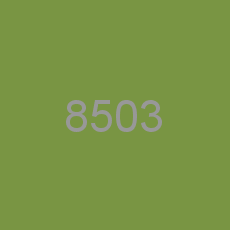 8503