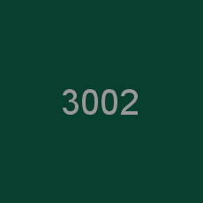 3002