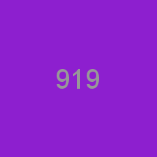 919