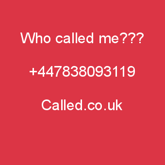 7838093119