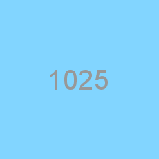 1025