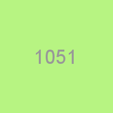 1051