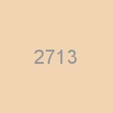 2713