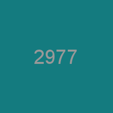 2977