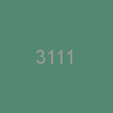 3111