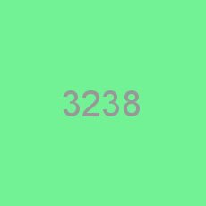 3238