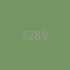 3289