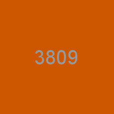3809