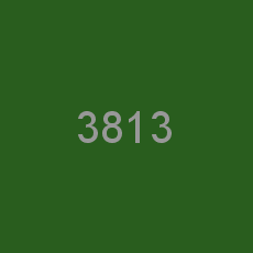 3813