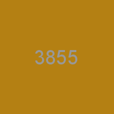 3855