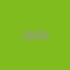 3856