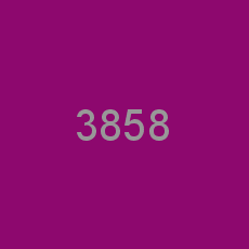 3858