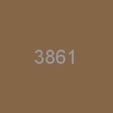 3861