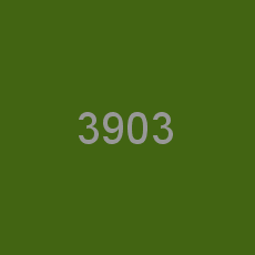 3903