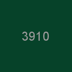 3910