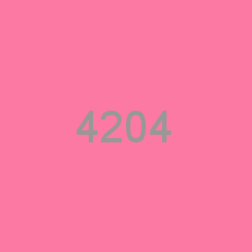 4204