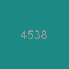 4538