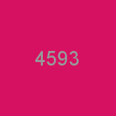 4593