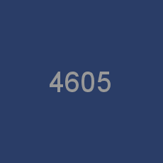 4605