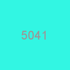 5041