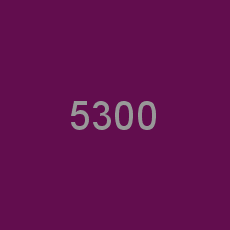5300