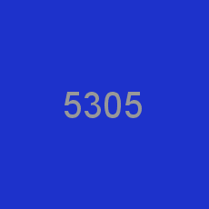 5305