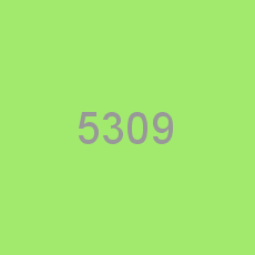 5309