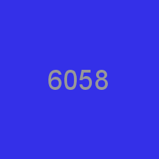 6058