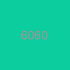6060