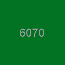 6070
