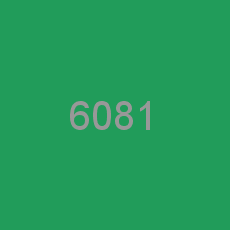 6081