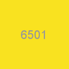 6501