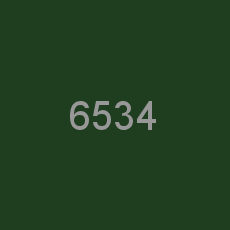 6534