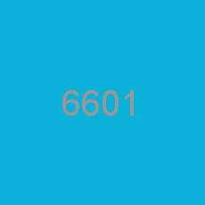 6601