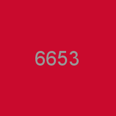 6653
