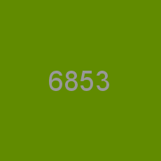 6853